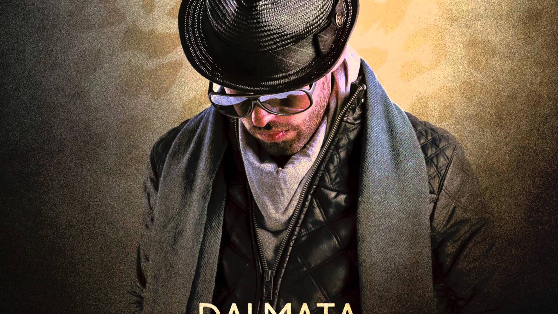 Dalmata